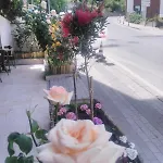 New Beylerbeyi 2* 伊斯坦布尔